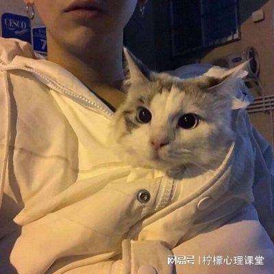 单机三国志3游戏下载